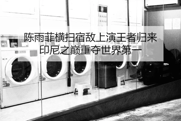 陈雨菲横扫宿敌上演王者归来 印尼之巅重夺世界第一